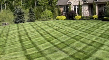 Lawn with bricks