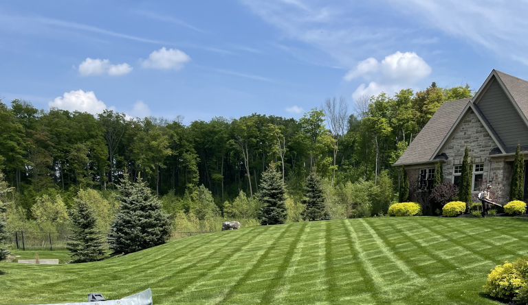 Garden Slide2